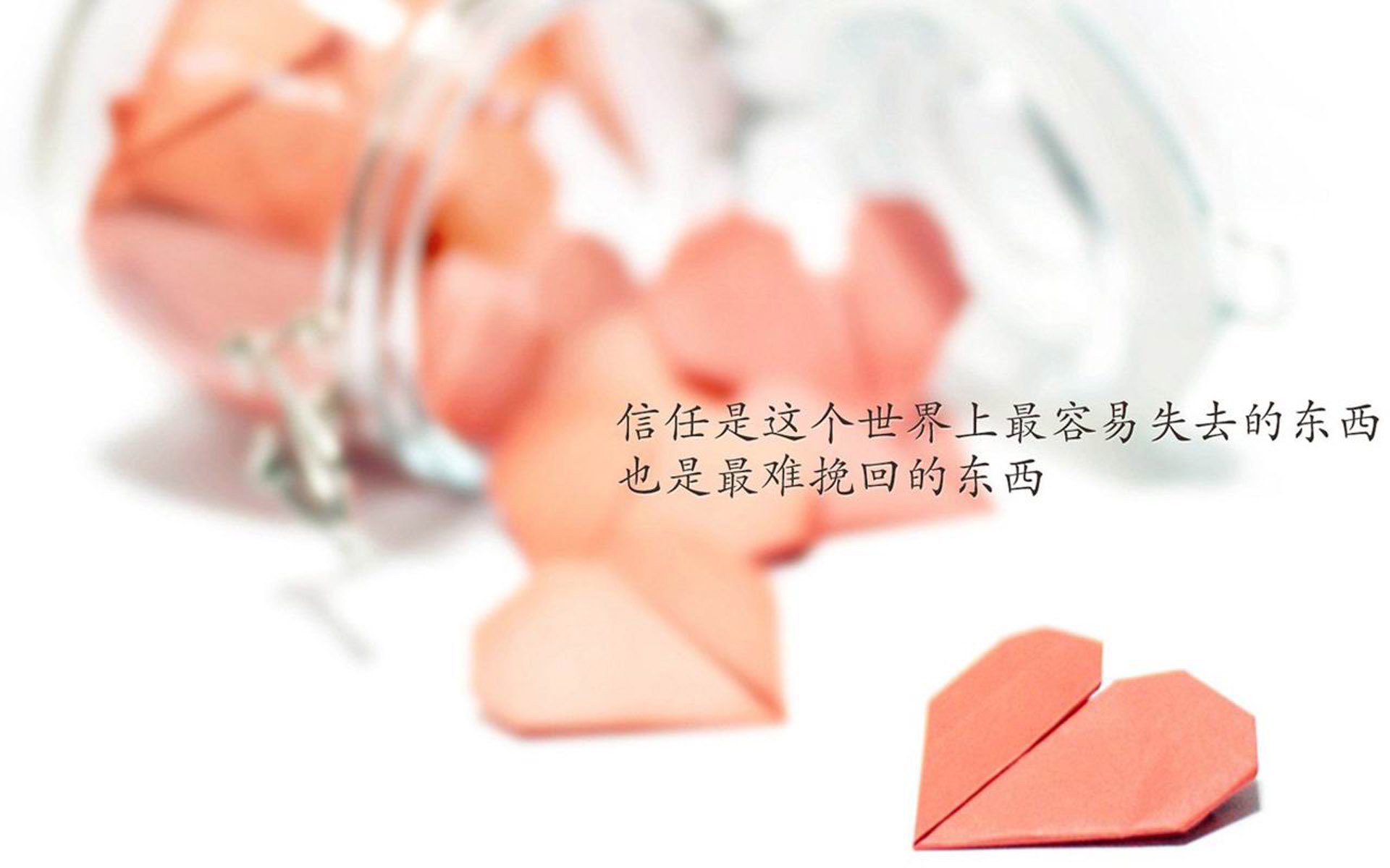 开云体育官网在线-东亚杯中国女足夺冠 球员表现赢得好评，2019年东亚杯女足