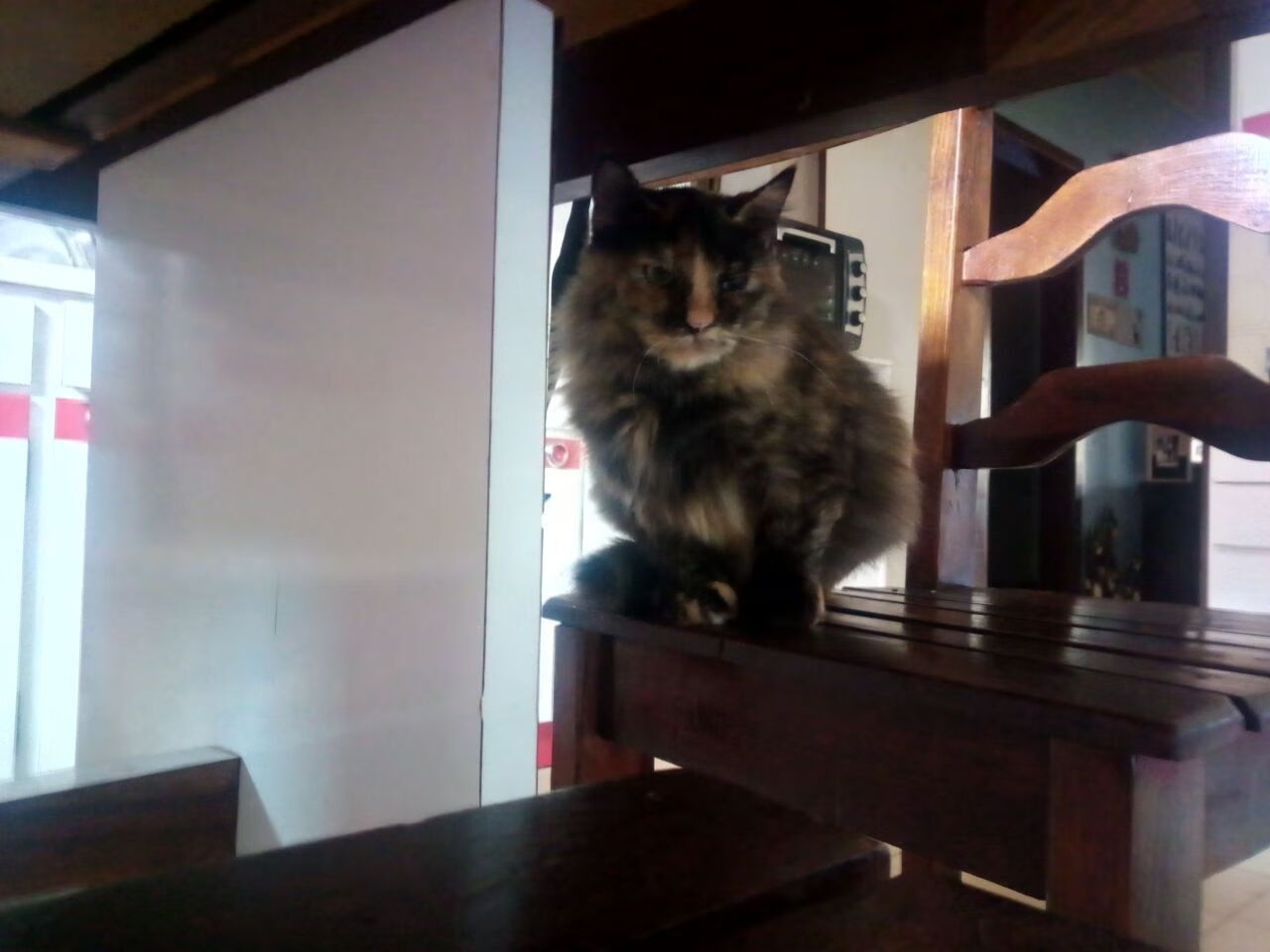 开云体育app在线-国际热身赛国足爆冷 球迷反思战术安排，国足打热身赛