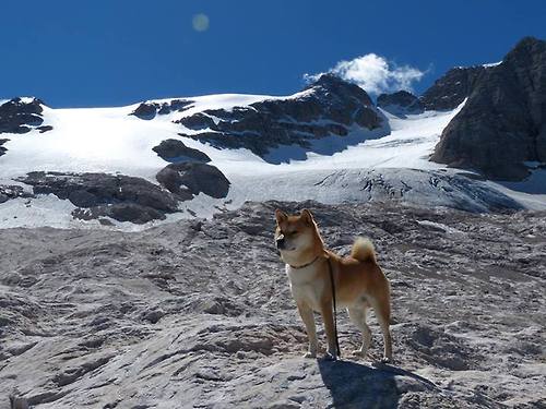 开云体育在线入口-女子200混德国新秀游出好成绩，德国女子100米运动员