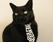 开运体育电脑版-田径队康复训练成效明显，田径队康复训练成效明显怎么写