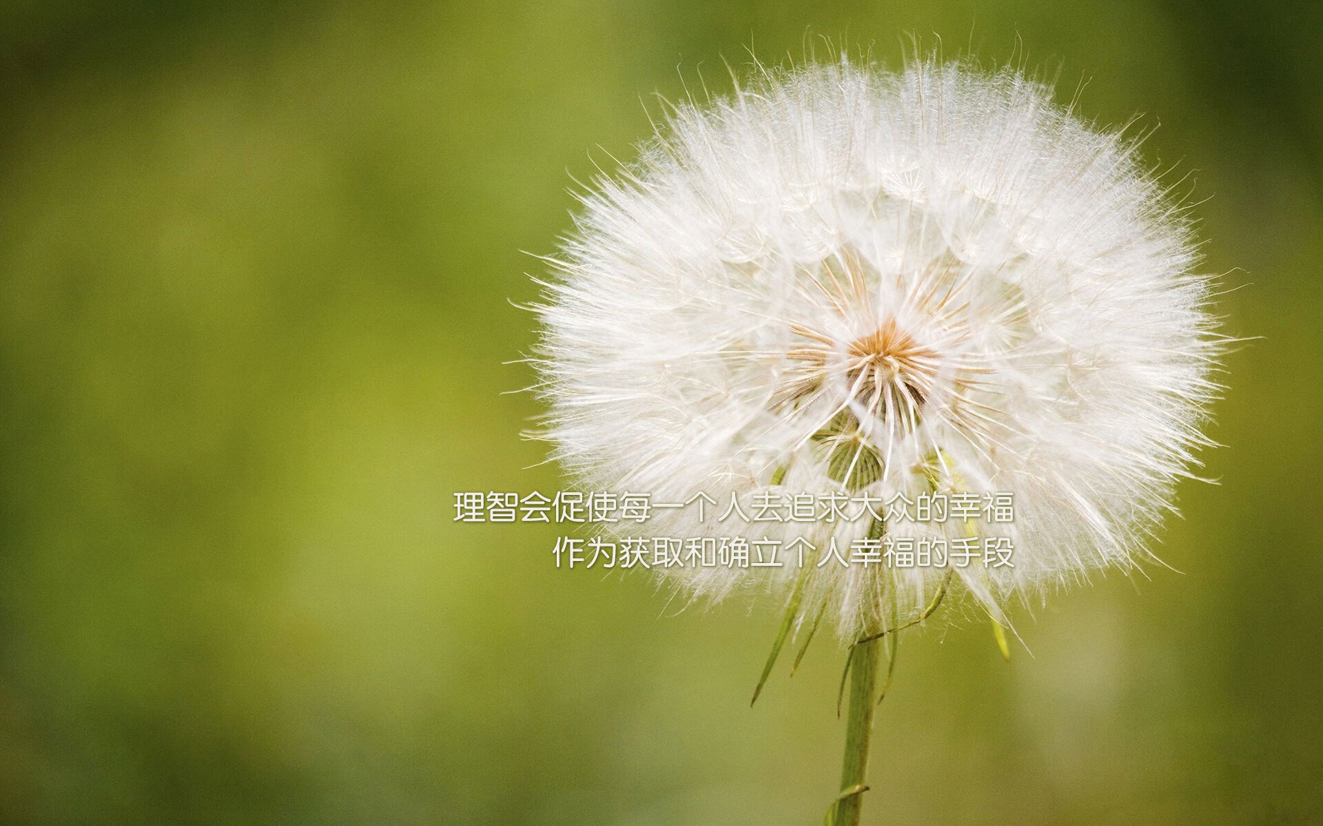 开云体育官网登入-篮球基层联赛引发学生参赛热潮，组织篮球联赛