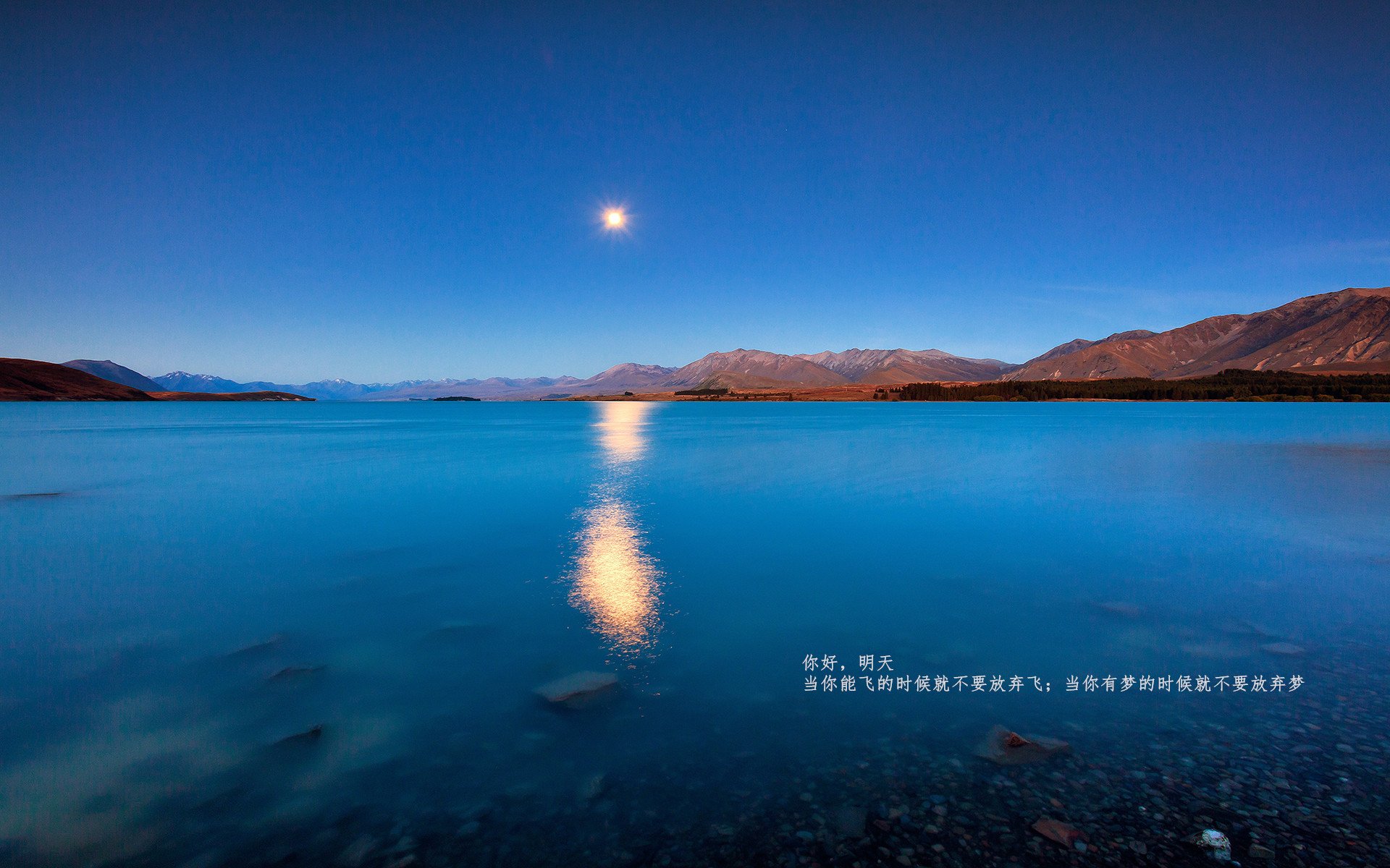 自由泳冲刺动作更有力，自由泳冲刺需要注意什么