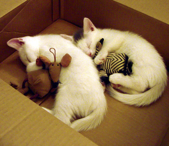 里昂边锋插上拉扯出巨大进攻空间，里昂集锦