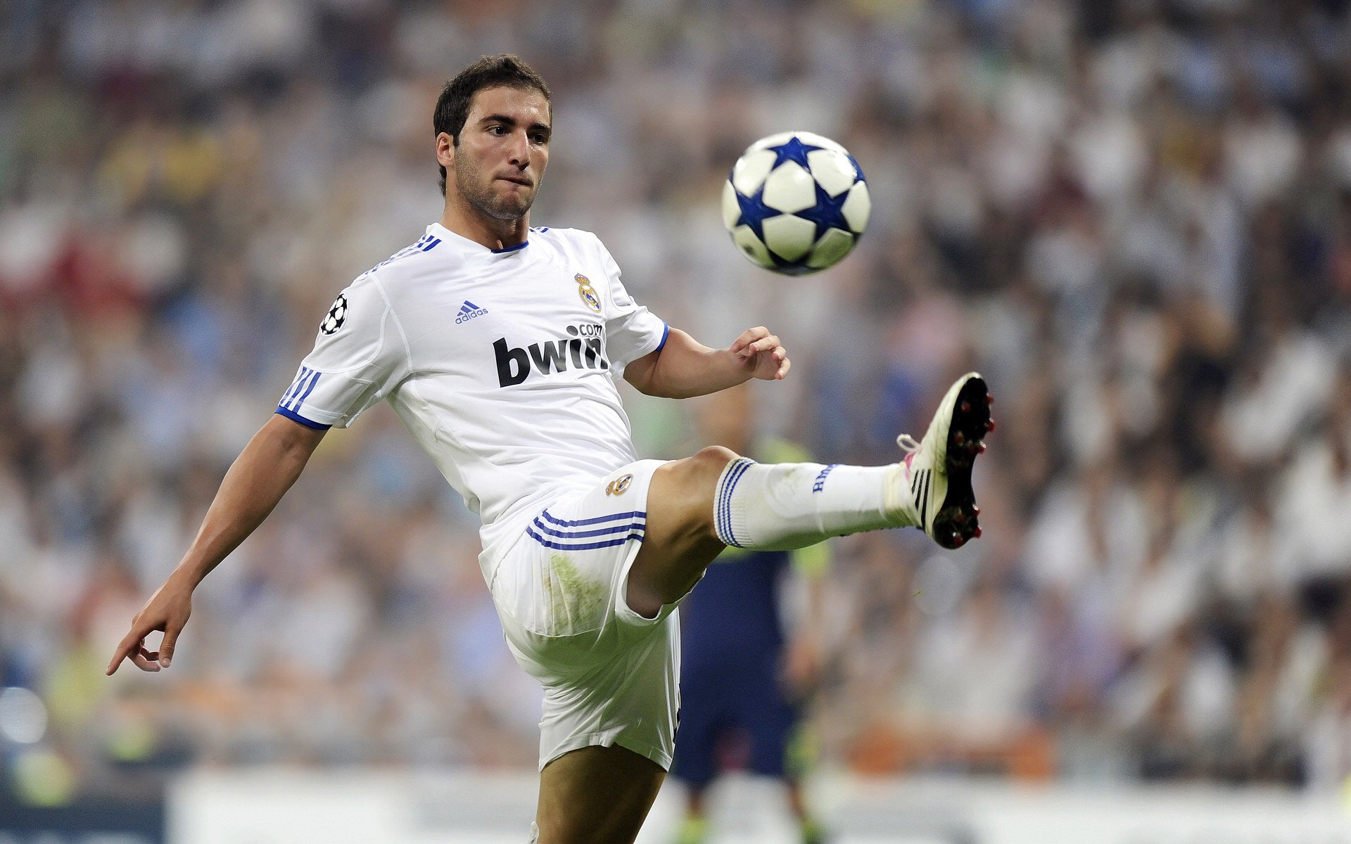 安东·李恩：全黑队中场的“调度员”，准确判断每一次进攻时机