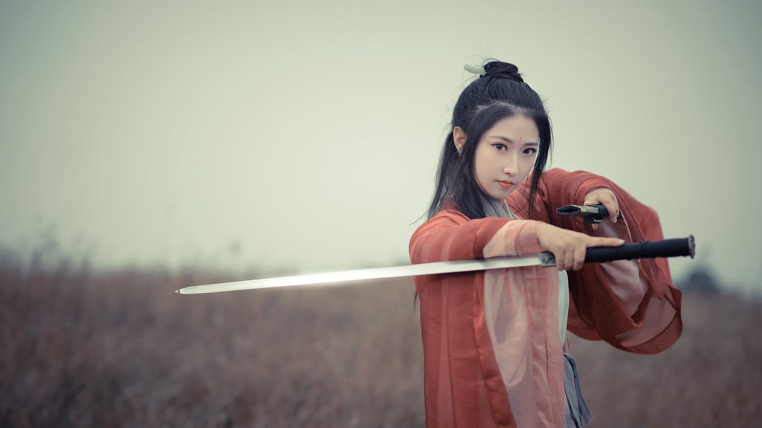 德甲高速突破：速度与力量的极致展现，德甲水平高吗