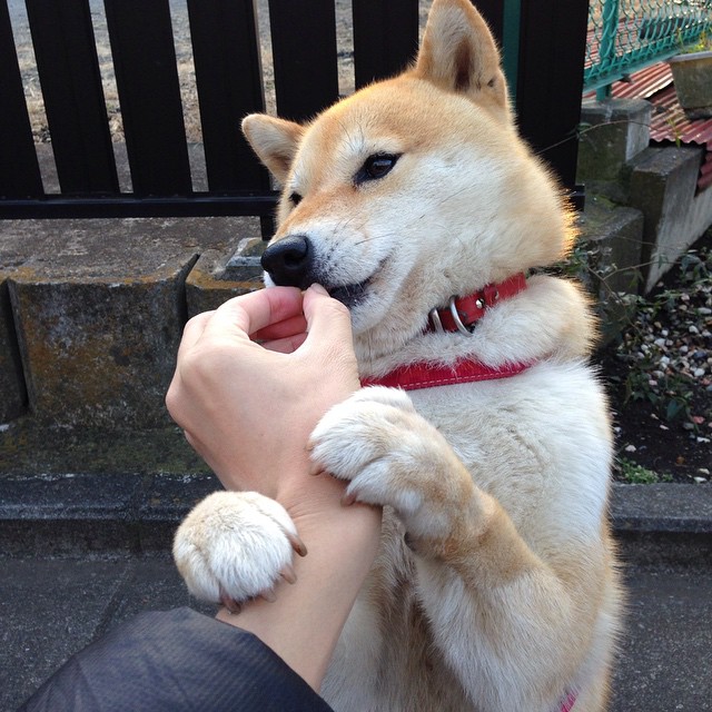 特色足球运动在少数民族地区深入推广,促进民族团结发展,足球特色学校主题绘画