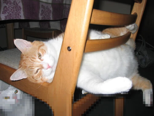 开云体育app在线-特色足球商品在国际市场稳步扩大，推动体育产业出口，足球特色展示